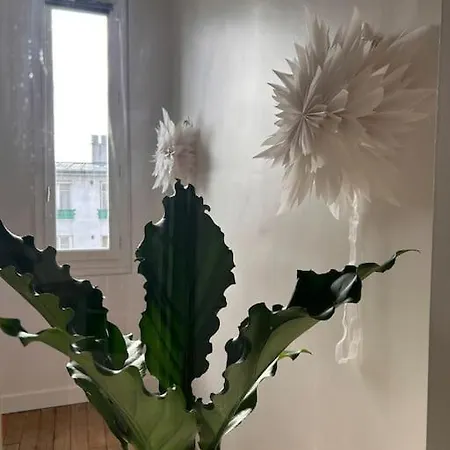 Un Fabuleux Decor Pour Un Chaleureux Apartment *