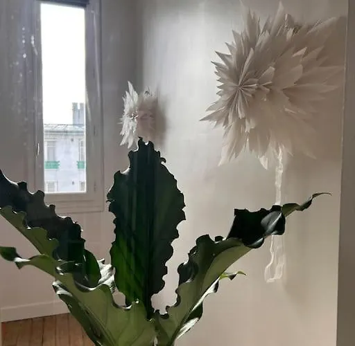 Un Fabuleux Decor Pour Un Chaleureux Διαμέρισμα *